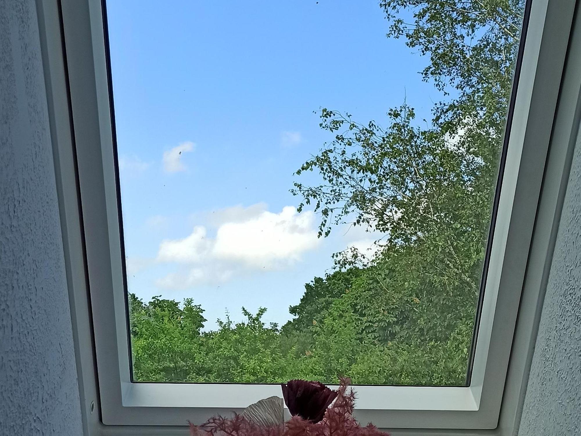 Ferienwohnung Kleiner Und Grosser Stern Stoltebüll Dış mekan fotoğraf